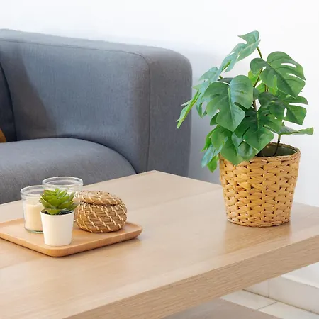 아파트 Novam Guest Homes